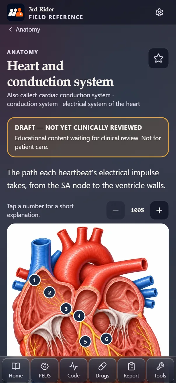 Heart and conduction system picture with numbered labels to tap.